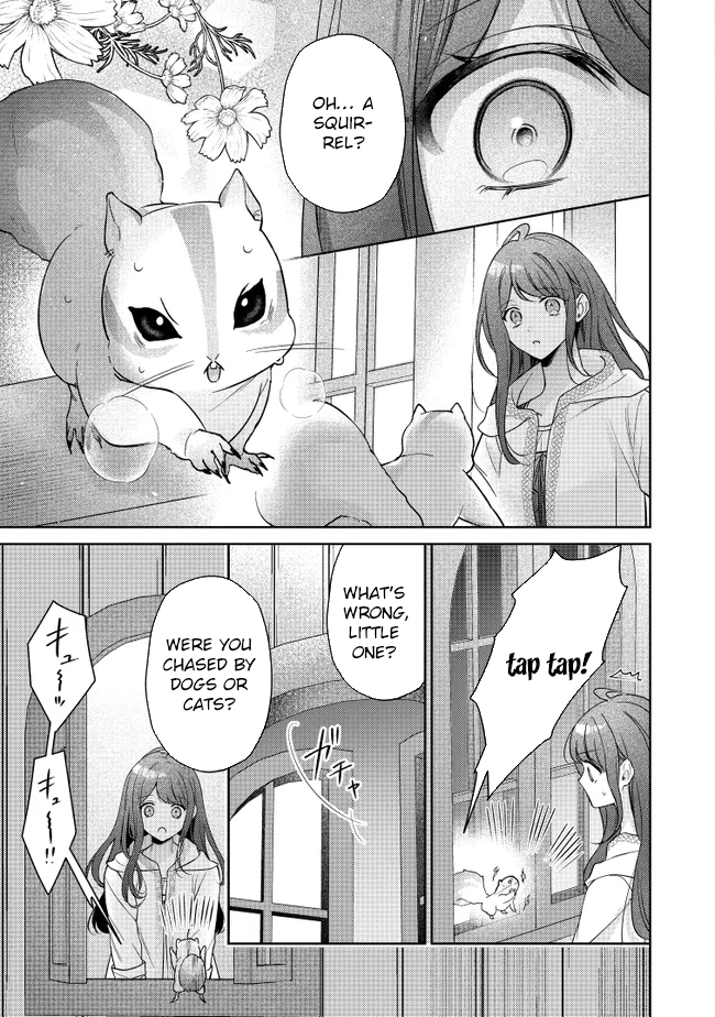 My Fiancé, Who Used to Hate Me, Turned into a Squirrel and Came to Me for Help. Chapter 1 Page 29